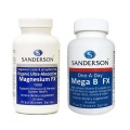 Sanderson Stress Buster - One A Day Mega B FX + Magnesium FX 1000