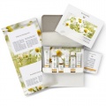 Dr Hauschka Clarifying Face Care Kit (for combination and blemished, oily skin)